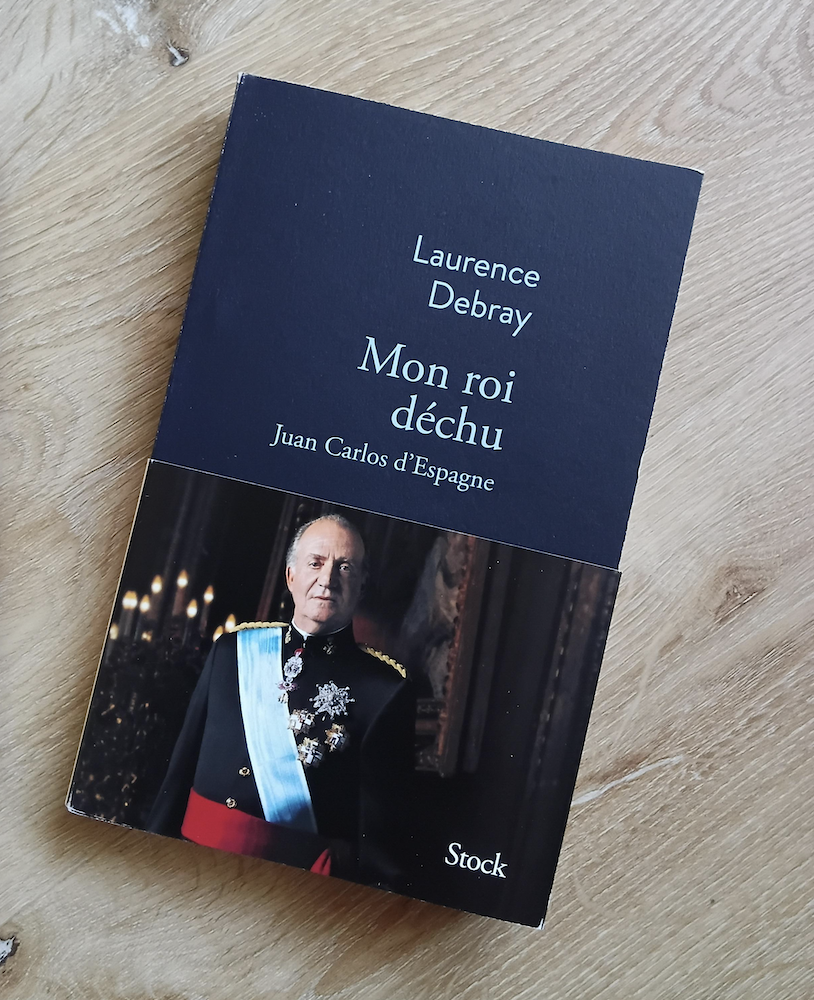 Mon roi déchu (Laurence Debray)